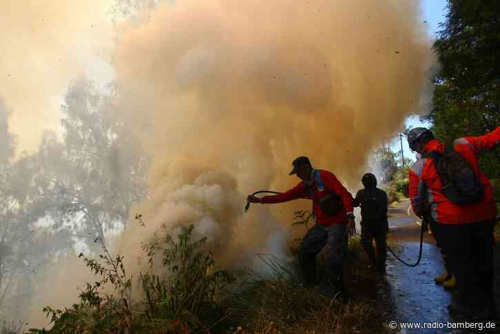 Waldbrand am Vulkan Bromo: Sperrungen für Touristen