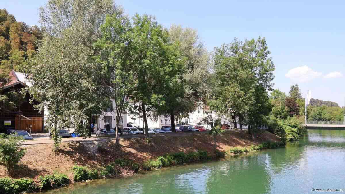 Rodungen am Loisachufer haben Bürgermeister überrascht – Landratsamt prüft Kahlschlag am Ufer
