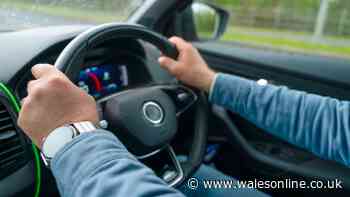 Drivers told use important '1-3-5 rule' before buy used car 'to get best deal'