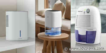 The best dehumidifiers to use if you have a small room or apartment