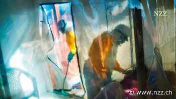 DIE NEUESTEN ENTWICKLUNGEN - Ebola-Ausbruch in Zentralafrika: Gesundheitsministerium meldet erstmals über 4000 bestätigte Fälle
