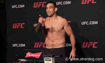 Fabricio Werdum turns down Rousimar Palhares’ challenge