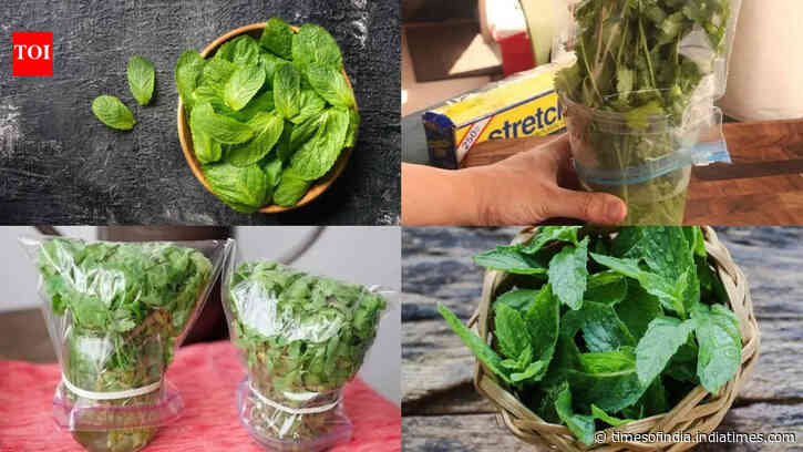 How to store fresh pudina without a refrigerator: 7 easy and practical hacks that actually work