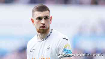 Swansea City in Zan Vipotnik transfer statement as new signing arrives