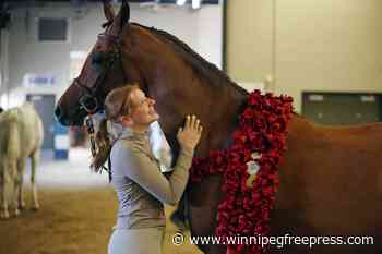 They’re not horsing around in Brandon