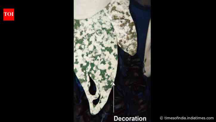 Scientists in China create a self-healing dress from living fungus that repairs its own tears and biodegrades naturally