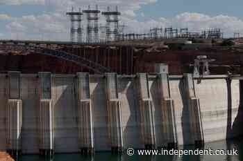 Feds sacrifice rare fish in Colorado River to save power for millions