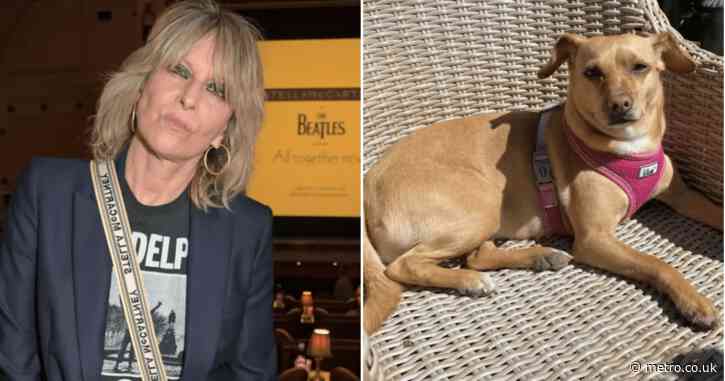 Chrissie Hynde fears ‘malicious’ intent after her dog goes missing in London