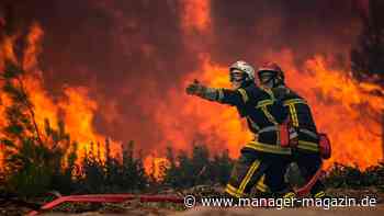 Waldbrände: Diese deutschen Firmen entwickeln Technologien gegen Feuer