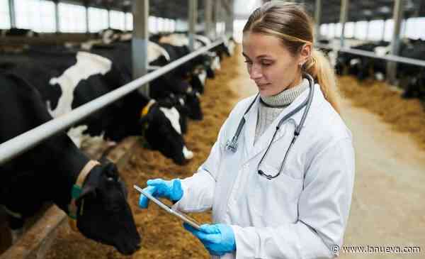 Salud animal: ¿por qué el mercado se encamina a duplicar su tamaño para 2032?