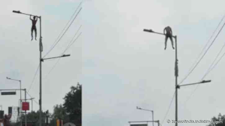 'Want to meet Suvendu-babu': Bengal man climbs lamp post, performs pull-ups, stunts for 40 minutes