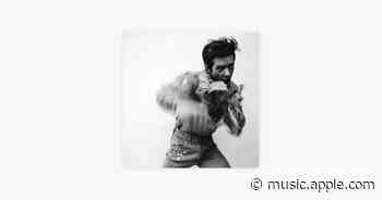 Tiger's Blood - Brandon Flowers