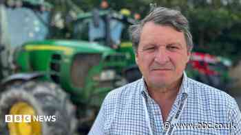 Dog owners told to control pets after sheep killed