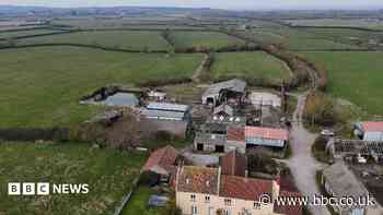 Farm to become 'beacon of hope' nature reserve