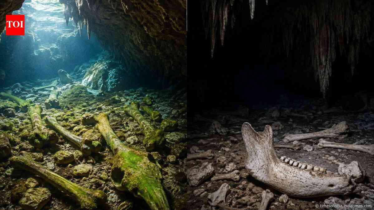 Scientists studied South Australia cave bones; light left algae marks, darkness preserved bones