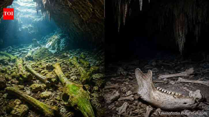 Scientists studied South Australia cave bones; light left algae marks, darkness preserved bones