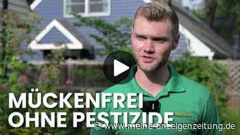 Mücken bekämpfen ohne Gift: Video zeigt bienensichere Methode