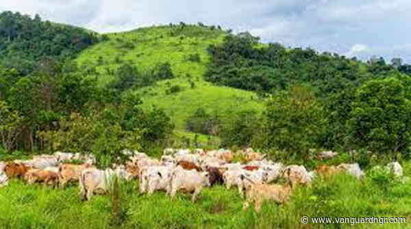 Abeokuta North enacts anti-open grazing law, commissions projects