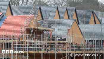 New homes approved despite over-development fears