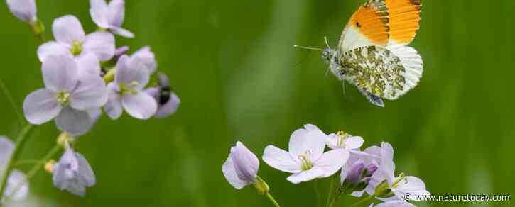 Natuurvereniging KNNV organiseert symposium om gemeenten en vrijwilligers samen te laten werken aan Basiskwaliteit Natuur