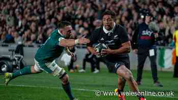 How to watch Stormers v New Zealand - TV channel and kick-off time