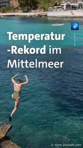 Mittelmeer: Rekord-Wassertemperatur vor #Mallorca gemessen #tagesschau #nachrichten #meer #hitze