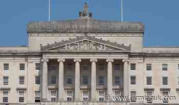 Farmers to protest at Stormont over Co Tyrone cattle deaths