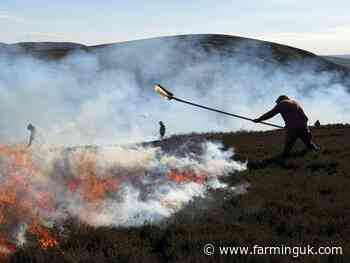 Rural businesses get £3m boost after Cairngorms blaze