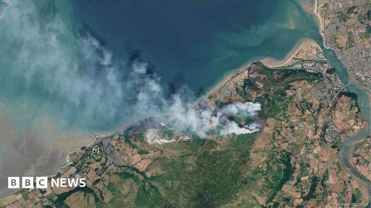 Wildfire damage could take hundreds of years to recover from, experts say