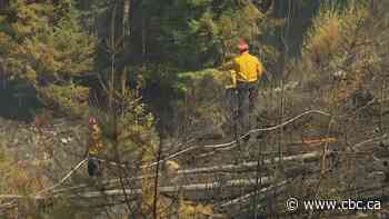 Wildfire that broke out in Metro Vancouver's Belcarra Regional Park now being held