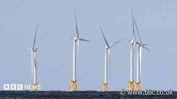 US strikes $1.2bn deal to pay German firm to halt offshore wind projects