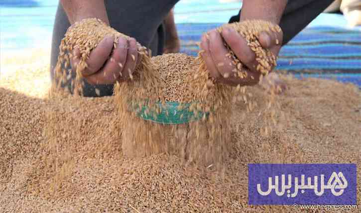 أسعار الغذاء العالمية تزيد في يوليوز