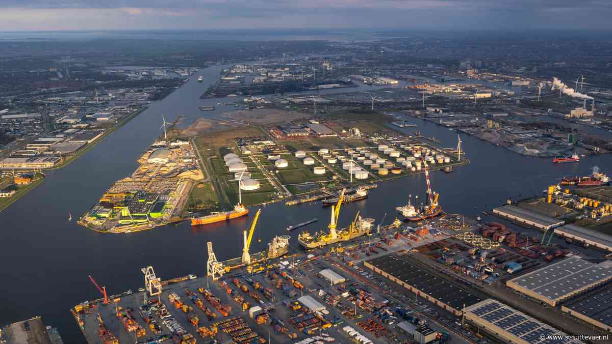 Douane vindt 800 kilo cocaïne in haven Amsterdam