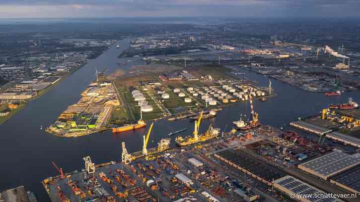 Douane vindt 800 kilo cocaïne in haven Amsterdam