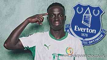 Iliman Ndiaye's team-mate could answer Andy Burnham's familiar Everton transfer demand