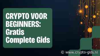 Crypto Voor Beginners: De Complete Gratis Gids (2026)