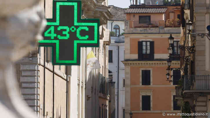 Alberi sì, ma non solo: per combattere il caldo serve ripensare le città