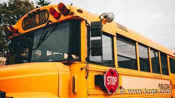 NMSU professor researches why drivers are ignoring school bus safety features