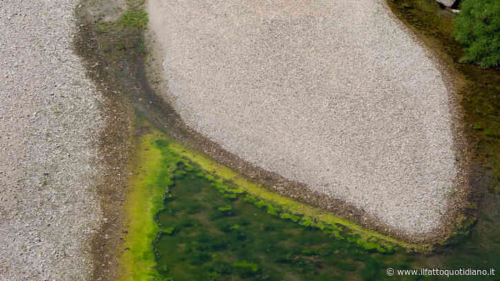 Si aggrava la crisi del Po, l’acqua marina risale il Delta. Anbi: “Come un bollettino di guerra”