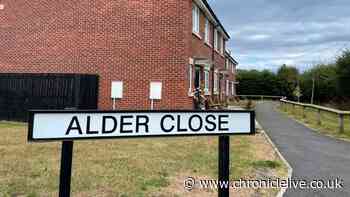 Attempted murder arrest after woman stabbed at North East house