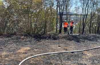 FW-OG: Böschungsbrand vor dem Offenburger Messekreisel