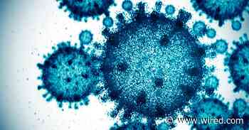 Scientists Used AI to Create 16 New Viruses