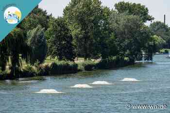 Warnung vor Blaualgen im Aasee