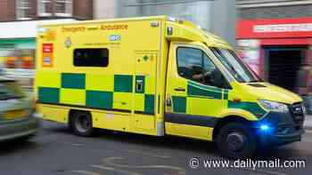 Patients dialling 999 in a heatwave could have to wait for temperatures to drop before an ambulance arrives under union plans to stop crews working in hot weather