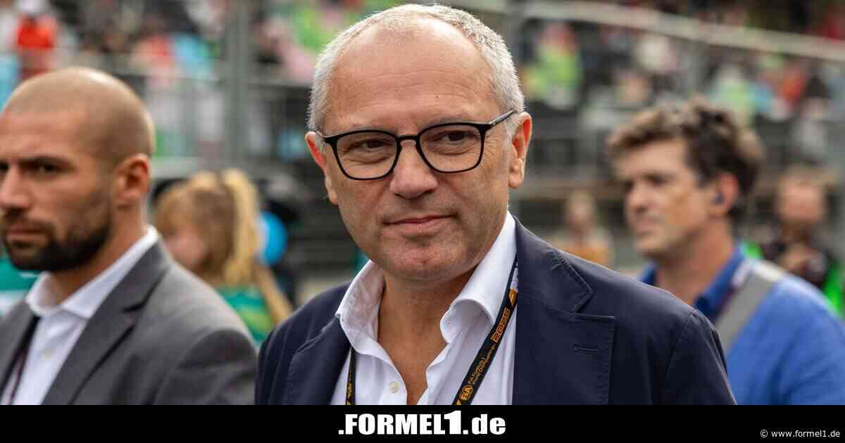 Wie steht die Formel 1 zu den Motorenplänen der FIA, Stefano?