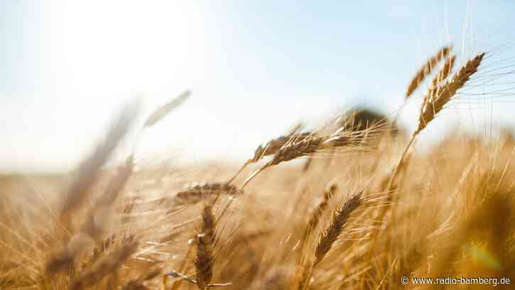 „Red Farmer“: Landwirte helfen im Ernstfall