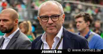 Wie steht die Formel 1 zu den Motorenplänen der FIA, Stefano?