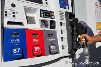 Ford calls on Carney to extend gas tax cut or make it permanent
