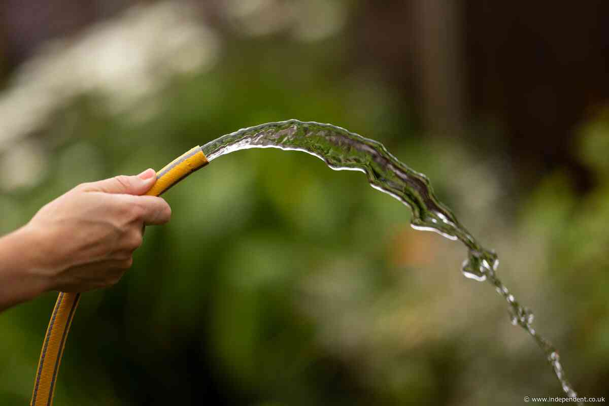 Hosepipe ban: When will restrictions end as South West Water imposes ban?