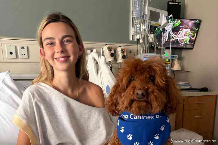 Influencerin Sydney Towle mit 26 an Krebs gestorben